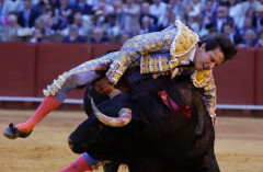 Roca Rey, paga com sangue o seu triunfo 